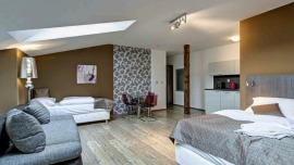 Suites & Apartments U Tří hrušek České Budějovice - Třílůžkový pokoj Comfort